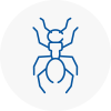 Ant Removals In Chippenham