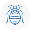 Bed Bug Extermination In Chippenham