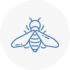Bee Nest Removal Chippenham