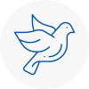 Bird Prevention Chippenham