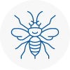 Chippenham Hornet Nest Removals