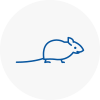 Mice Exterminators In Chippenham