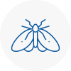 Moth Control Specialists In Chippenham