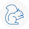 Chippenham Rodent Removals